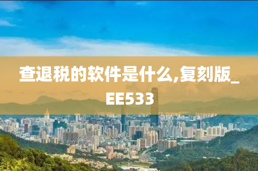 查退税的软件是什么,复刻版_EE533