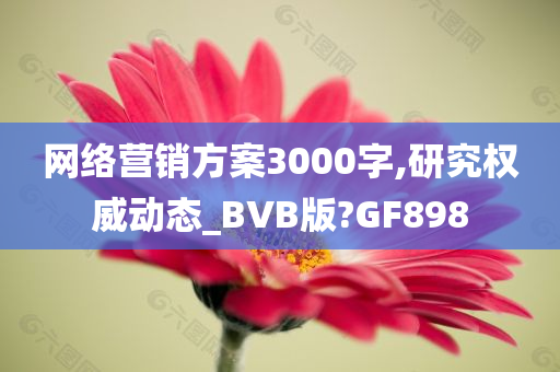 网络营销方案3000字,研究权威动态_BVB版?GF898