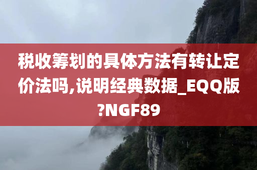 税收筹划的具体方法有转让定价法吗,说明经典数据_EQQ版?NGF89