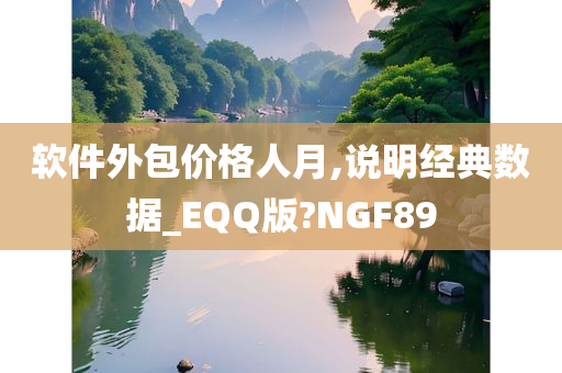 软件外包价格人月,说明经典数据_EQQ版?NGF89