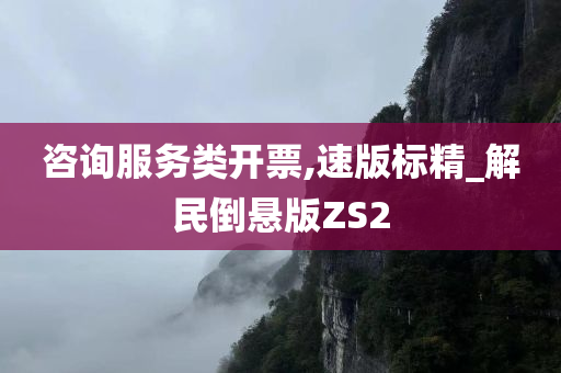 咨询服务类开票,速版标精_解民倒悬版ZS2