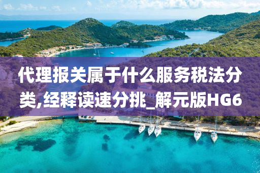 代理报关 第2页