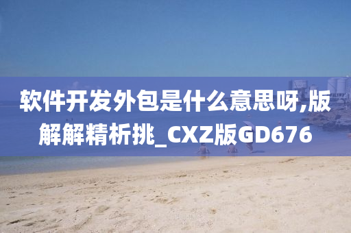 软件开发外包是什么意思呀,版解解精析挑_CXZ版GD676