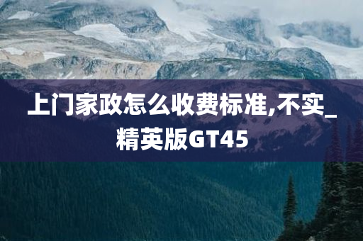 上门家政怎么收费标准,不实_精英版GT45