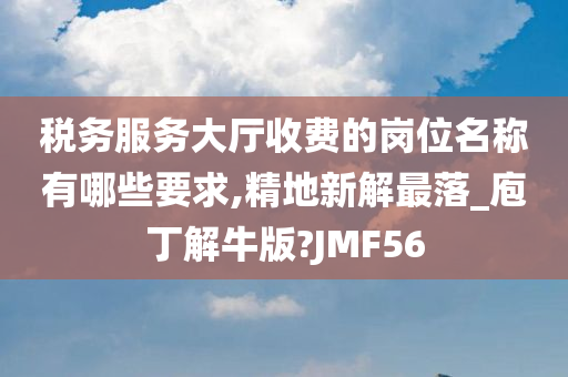 税务服务大厅收费的岗位名称有哪些要求,精地新解最落_庖丁解牛版?JMF56