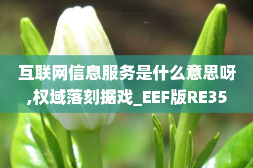 互联网信息服务是什么意思呀,权域落刻据戏_EEF版RE35