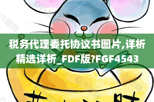 税务代理委托协议书图片,详析精选详析_FDF版?FGF4543