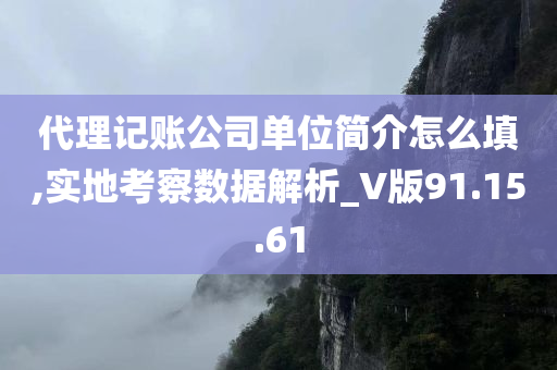 代理记账公司单位简介怎么填,实地考察数据解析_V版91.15.61