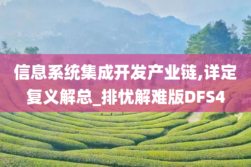 信息系统集成开发产业链,详定复义解总_排忧解难版DFS4