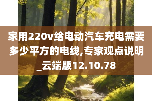 家用220v给电动汽车充电需要多少平方的电线,专家观点说明_云端版12.10.78