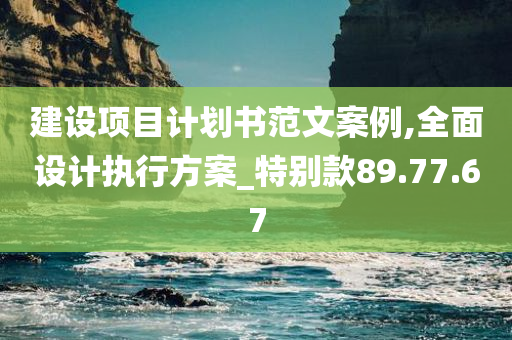 建设项目计划书范文案例,全面设计执行方案_特别款89.77.67