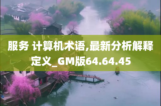 服务 计算机术语,最新分析解释定义_GM版64.64.45