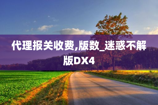 代理报关收费,版数_迷惑不解版DX4