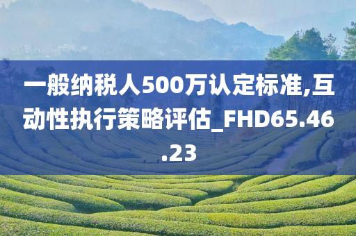 一般纳税人500万认定标准,互动性执行策略评估_FHD65.46.23