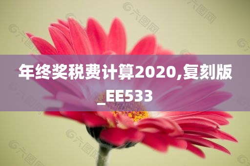 年终奖税费计算2020,复刻版_EE533