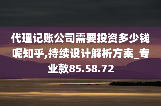 代理记账公司需要投资多少钱呢知乎,持续设计解析方案_专业款85.58.72