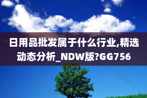 日用品批发属于什么行业,精选动态分析_NDW版?GG756