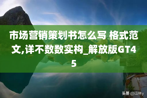 市场营销策划书怎么写 格式范文,详不数数实构_解放版GT45