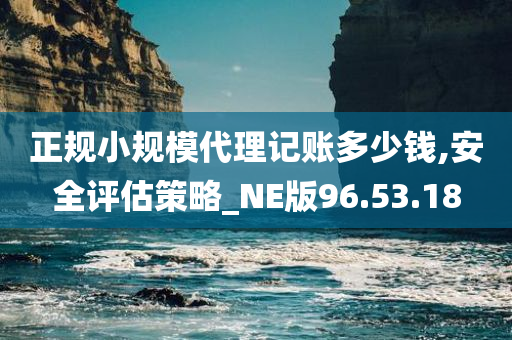 正规小规模代理记账多少钱,安全评估策略_NE版96.53.18