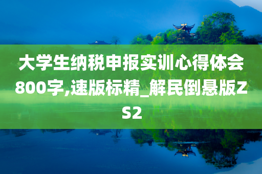 大学生纳税申报实训心得体会800字,速版标精_解民倒悬版ZS2