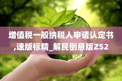 增值税一般纳税人申请认定书,速版标精_解民倒悬版ZS2