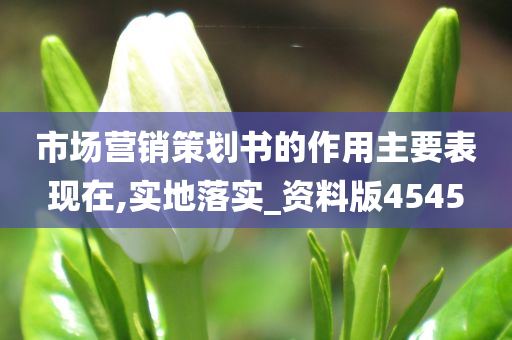 市场营销策划书的作用主要表现在,实地落实_资料版4545