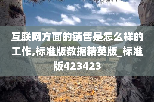 互联网方面的销售是怎么样的工作,标准版数据精英版_标准版423423