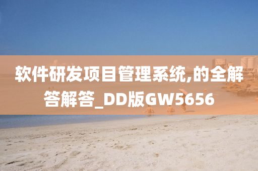 软件研发项目管理系统,的全解答解答_DD版GW5656