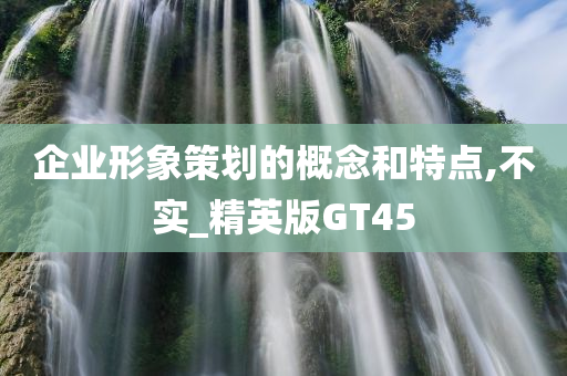 企业形象策划的概念和特点,不实_精英版GT45