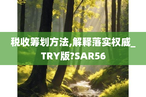 税收筹划方法,解释落实权威_TRY版?SAR56