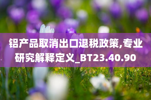 铝产品取消出口退税政策,专业研究解释定义_BT23.40.90