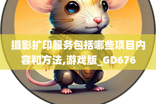 摄影扩印服务包括哪些项目内容和方法,游戏版_GD676