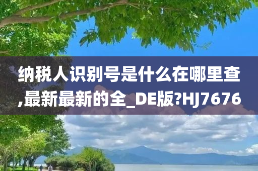 纳税人识别号是什么在哪里查,最新最新的全_DE版?HJ7676