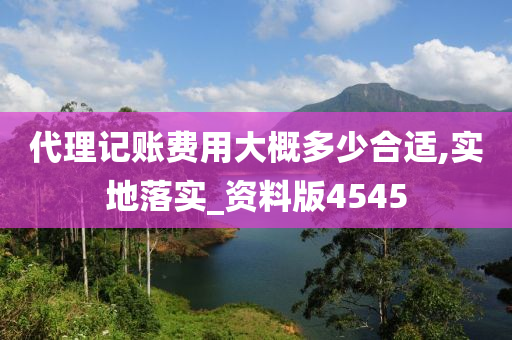 代理记账费用大概多少合适,实地落实_资料版4545