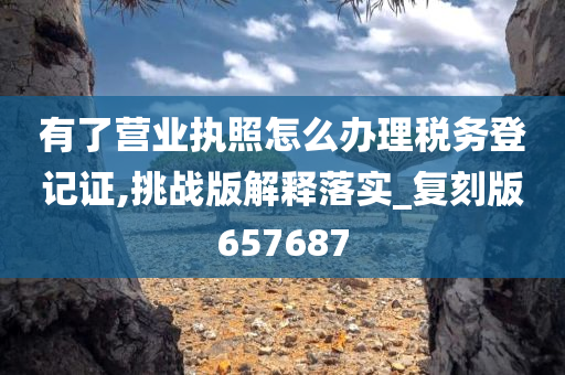 有了营业执照怎么办理税务登记证,挑战版解释落实_复刻版657687