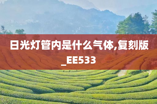 日光灯管内是什么气体,复刻版_EE533