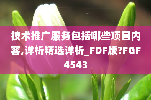 技术推广服务包括哪些项目内容,详析精选详析_FDF版?FGF4543