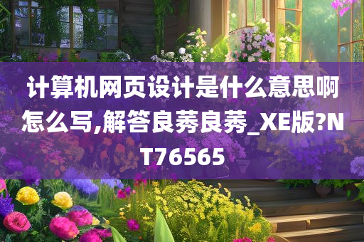 计算机网页设计是什么意思啊怎么写,解答良莠良莠_XE版?NT76565