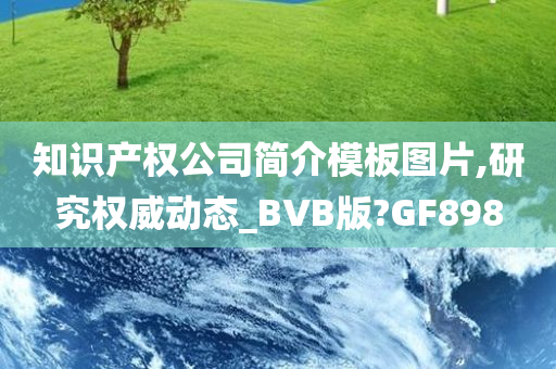 知识产权公司简介模板图片,研究权威动态_BVB版?GF898