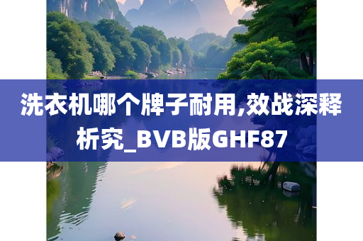 洗衣机哪个牌子耐用,效战深释析究_BVB版GHF87