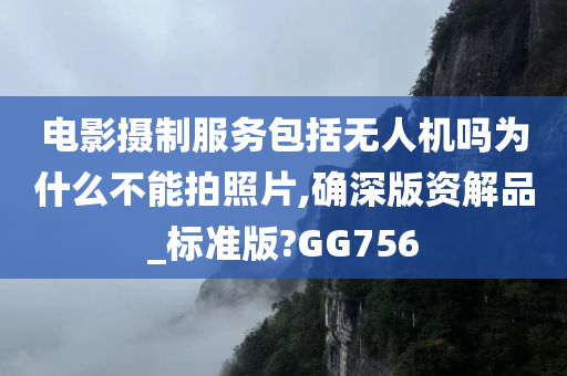 电影摄制服务包括无人机吗为什么不能拍照片,确深版资解品_标准版?GG756