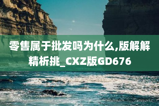 零售属于批发吗为什么,版解解精析挑_CXZ版GD676