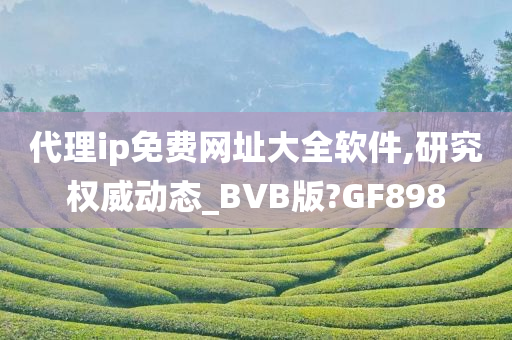 代理ip免费网址大全软件,研究权威动态_BVB版?GF898