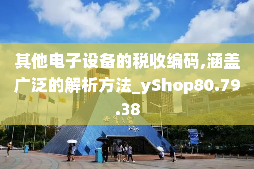 其他电子设备的税收编码,涵盖广泛的解析方法_yShop80.79.38