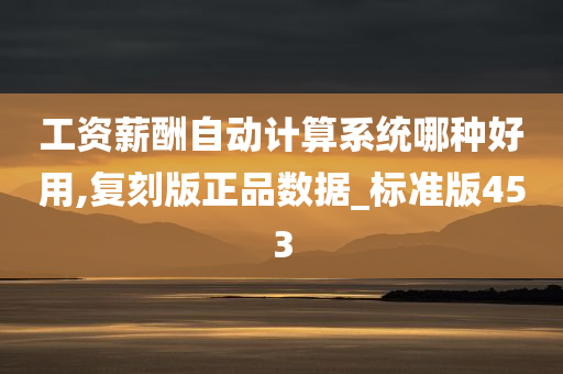 工资薪酬自动计算系统哪种好用,复刻版正品数据_标准版453