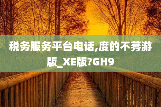 税务服务平台电话,度的不莠游版_XE版?GH9