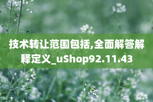 技术转让范围包括,全面解答解释定义_uShop92.11.43