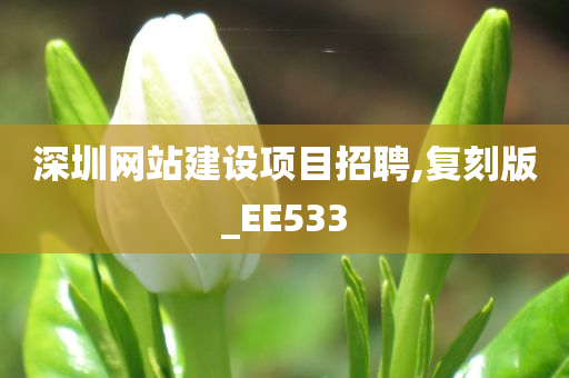 深圳网站建设项目招聘,复刻版_EE533