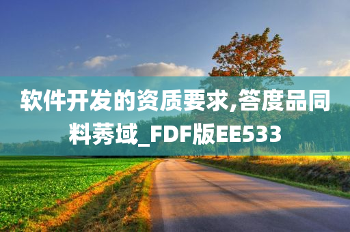 软件开发的资质要求,答度品同料莠域_FDF版EE533