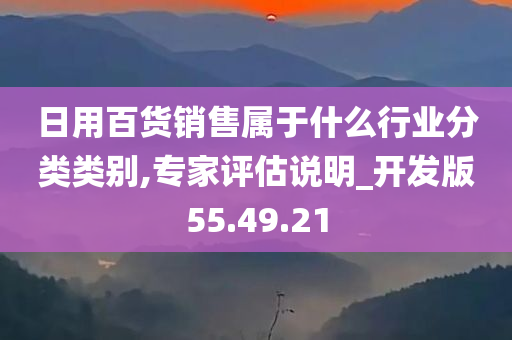 日用百货销售属于什么行业分类类别,专家评估说明_开发版55.49.21